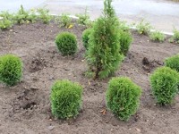 Одни – создают, другие – разрушают