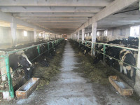 Что за ориентир – минималка?..