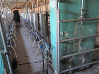 Когда нет ладу…