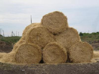 Сгорели корма