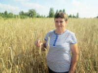 С обмолотом не запаздывать