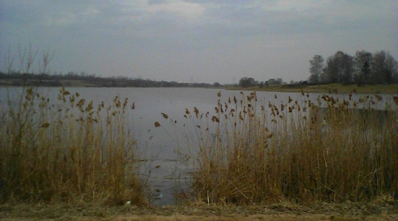 Субботники на водоёмах