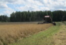 В Беларуси намолочен третий миллион тонн зерна