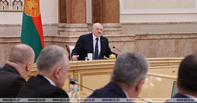 Лукашенко: предложенные поправки в Конституцию Беларуси вызвали живой интерес