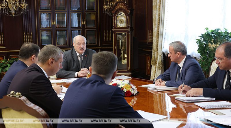 Лукашенко: Беларусь должна использовать каждый свободный метр российских портов для отгрузки товаров