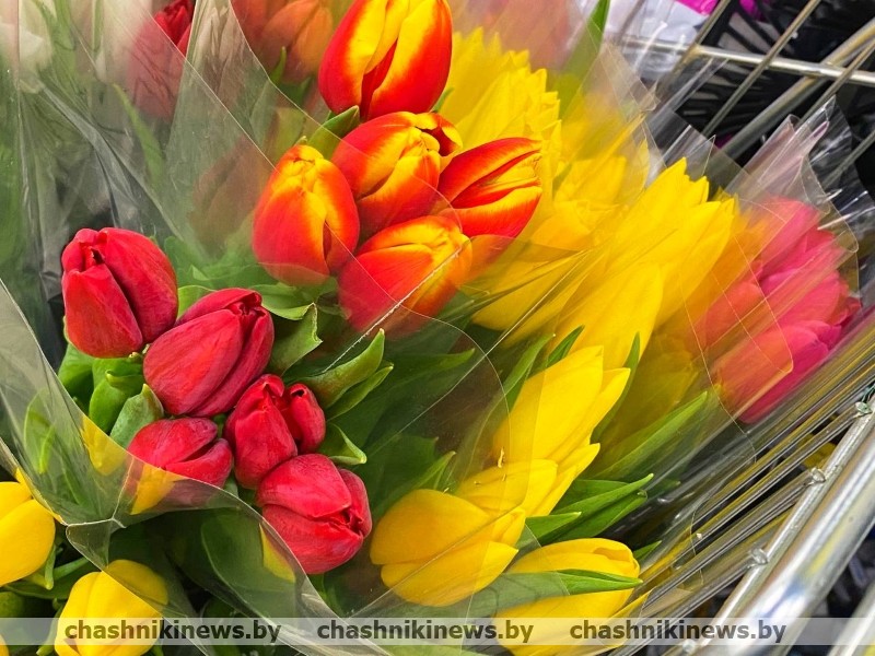 Кто в Беларуси сможет продавать цветы к 8 Марта