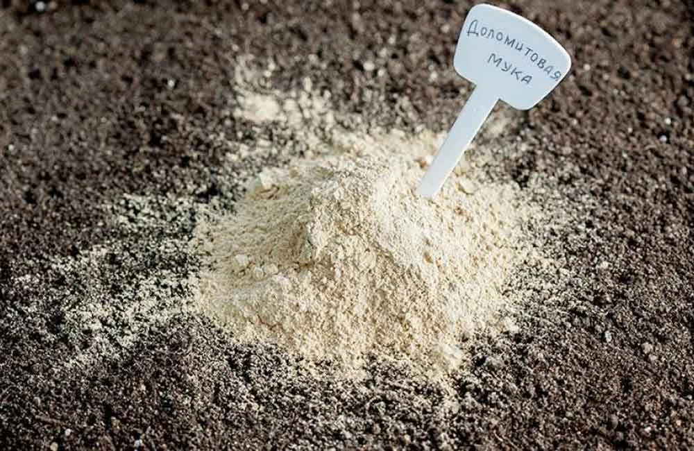 Зачем огородникам доломитовая мука