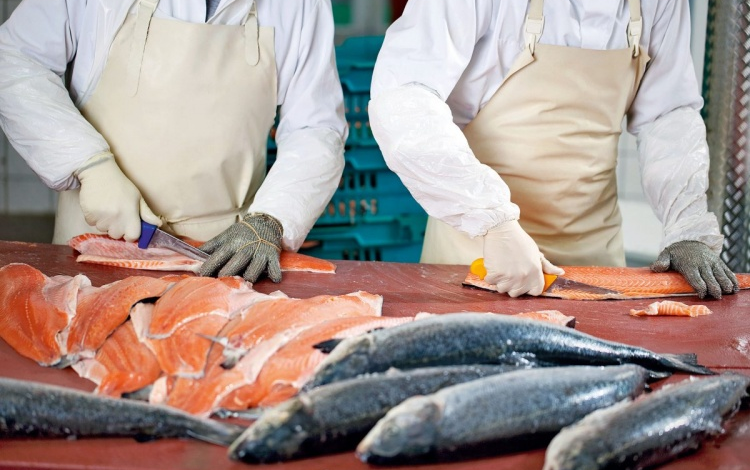 В Чашникском районе строят консервный завод, основной объем продукции которого пойдет на экспорт