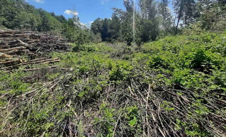 Порядок на земле – дело важное