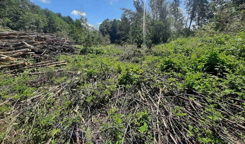 Порядок на земле – дело важное