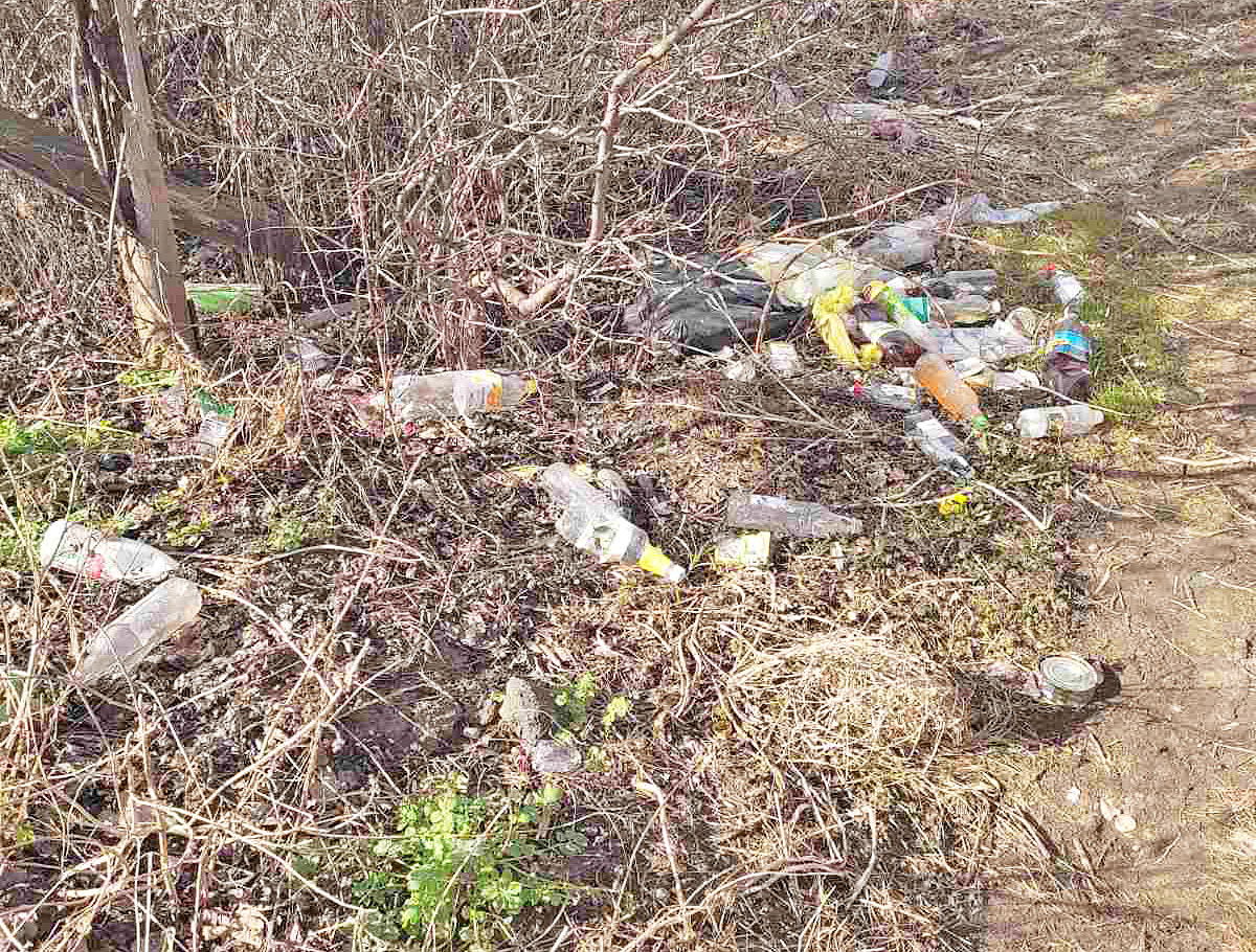 «Чисто там, где не мусорят»