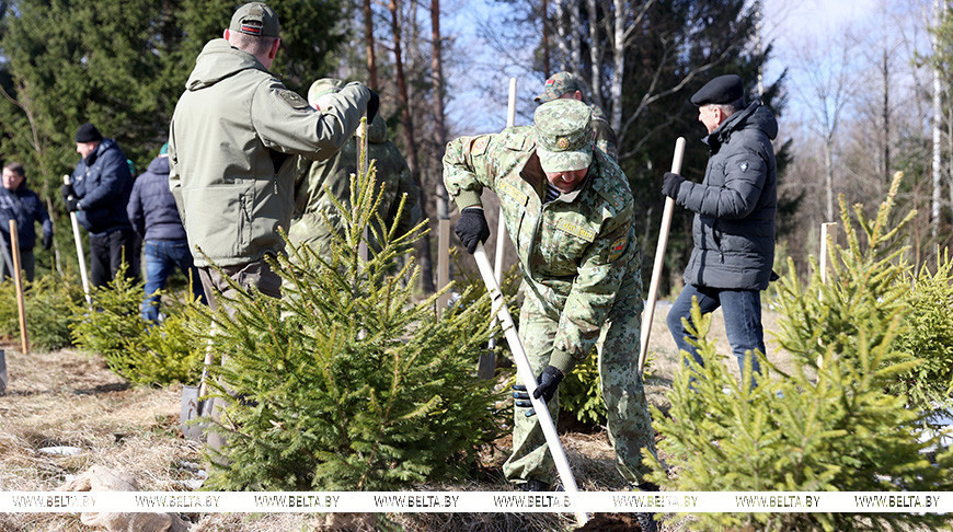 С заботой о родной стране. Как благоустраивали Беларусь на субботнике