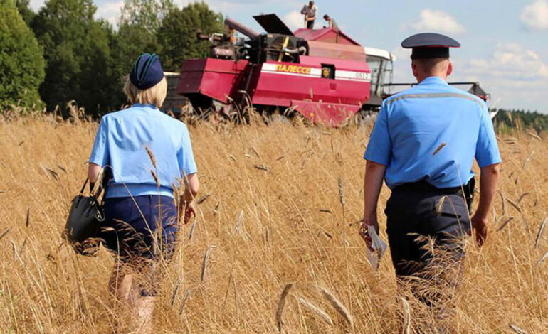 На полях Чашникского района продолжается уборочная кампания, а сотрудники милиции обеспечивают ее безопасность