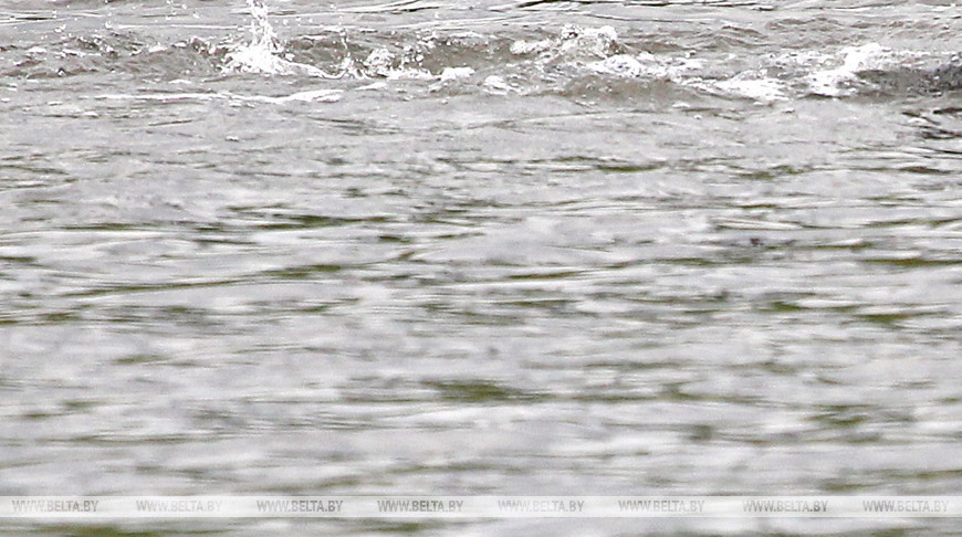 В Витебске в Западной Двине утонула женщина