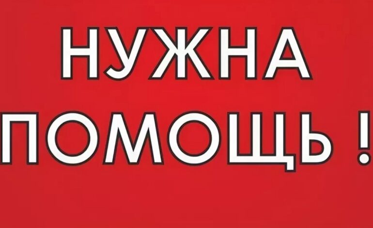 Новолукомчане Юлия и Дмитрий Дук просят о помощи