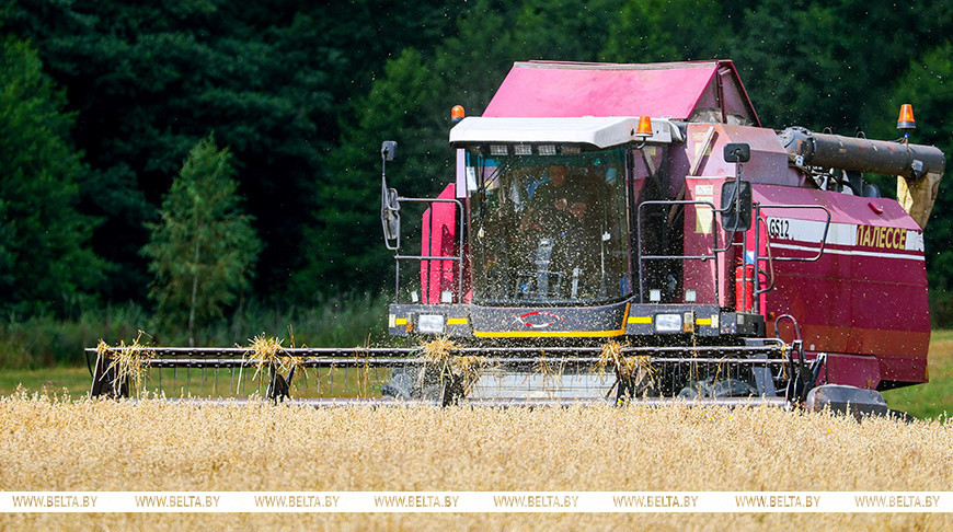 Белорусские аграрии намолотили 9 млн тонн зерна 