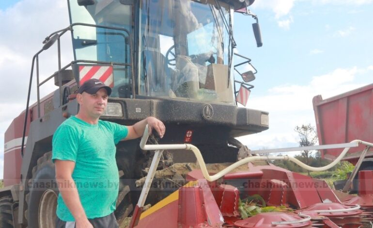 Заготовка силоса — приоритет номер один