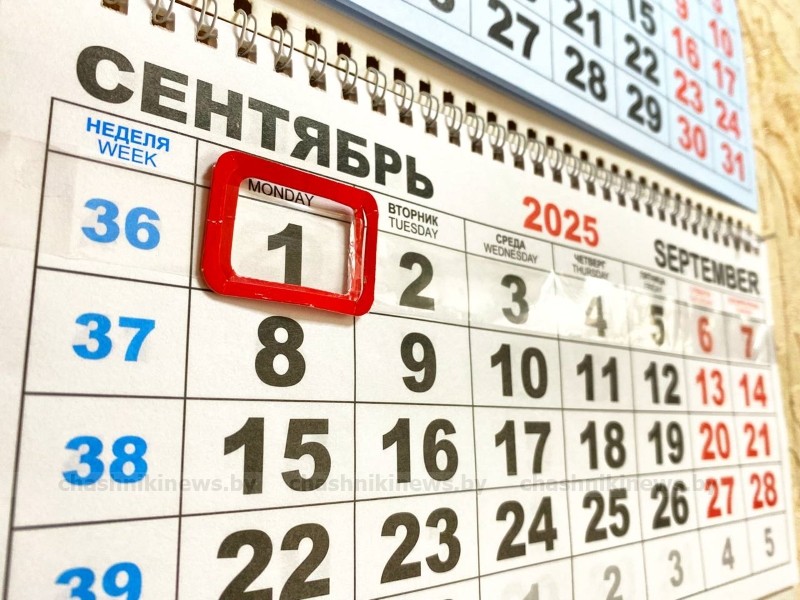 Рост пенсий, изменения в школах и в ПДД — что нового в Беларуси с 1 сентября