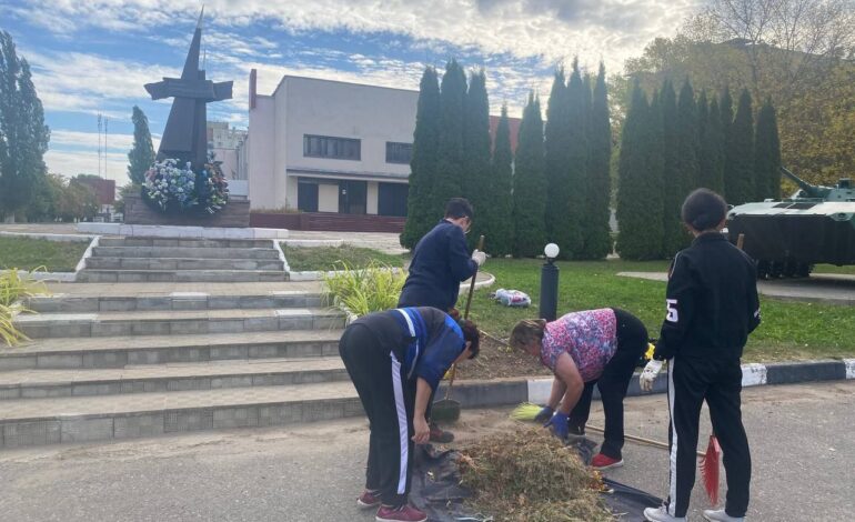 Фотофакт. Новолукомчане вышли на субботник
