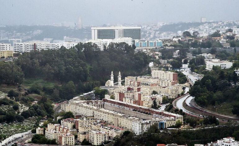 Минск и Алжир готовят переговоры на высшем уровне. Почему Беларусь нацелилась на Север Африки?