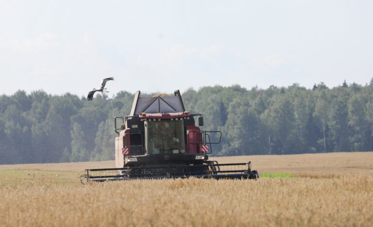 Почему Президент уделяет селу настолько серьезное внимание