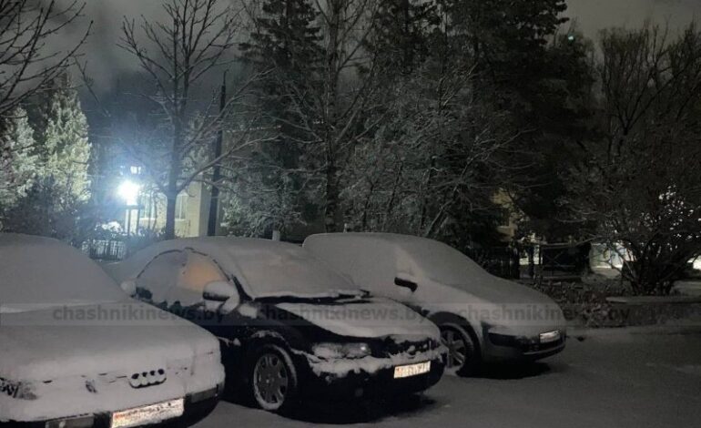 Выяснили, должен ли автовладелец очищать парковочное место от снега