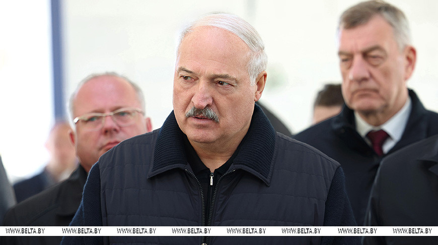 Обнародованы материалы, за которые Лукашенко пригрозил уголовным делом