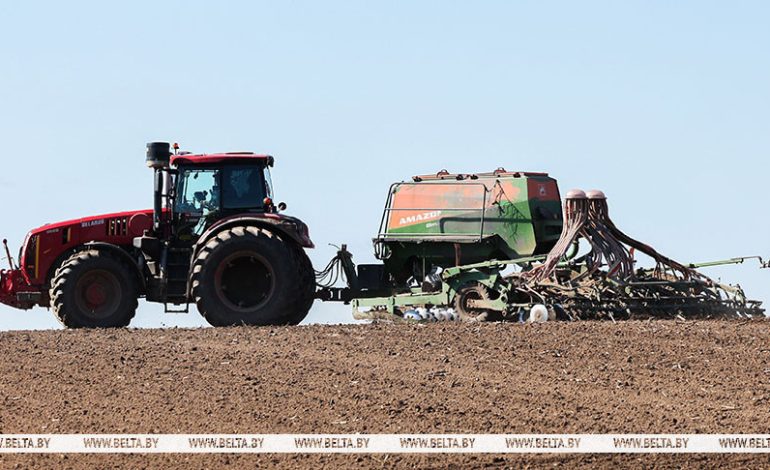 В Беларуси засеяли половину площадей яровых культур