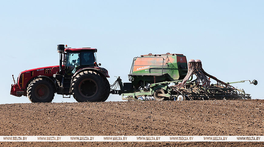 В Беларуси засеяли половину площадей яровых культур