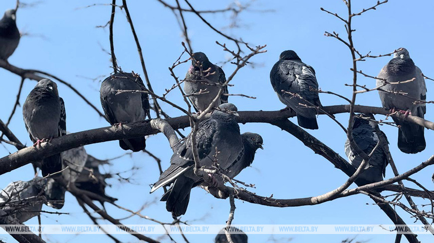 Снег возвращается? Синоптики предупредили о непогоде в понедельник