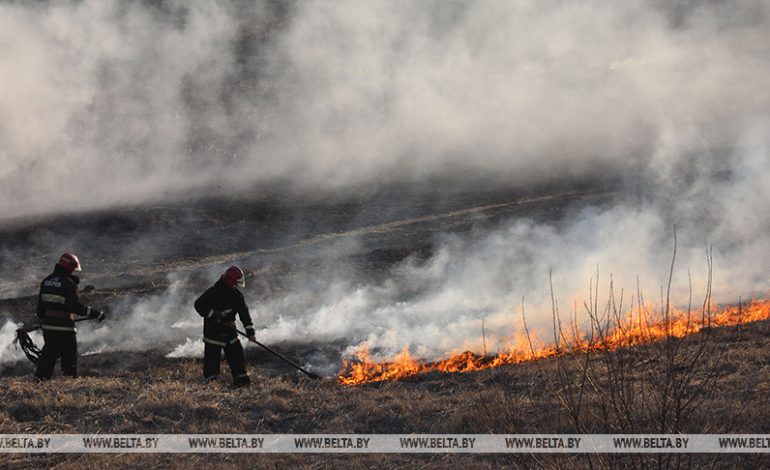 Более 20 пожаров травы и кустарников ликвидированы в Беларуси за сутки 