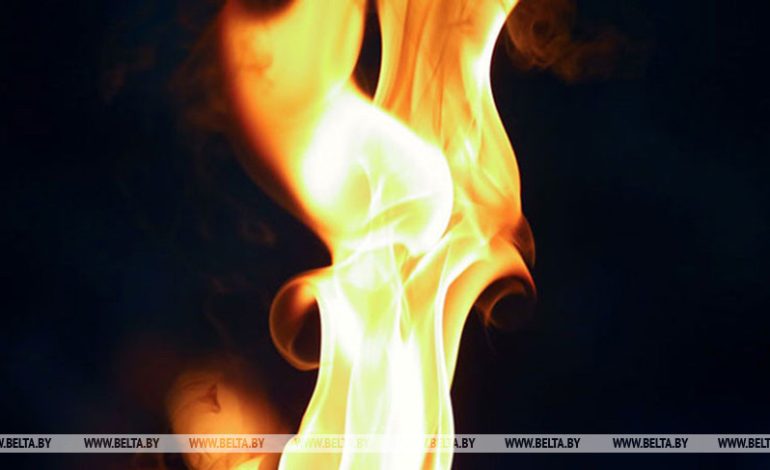 Как не стать жертвой толпы