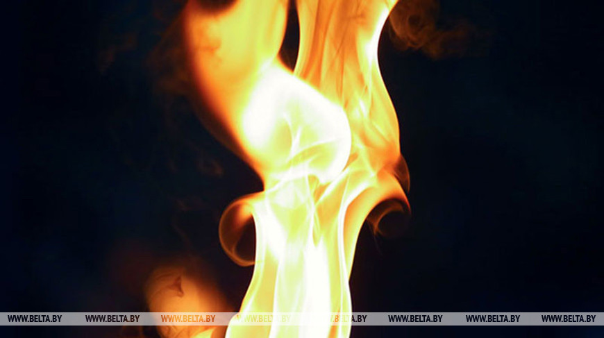 Как не стать жертвой толпы