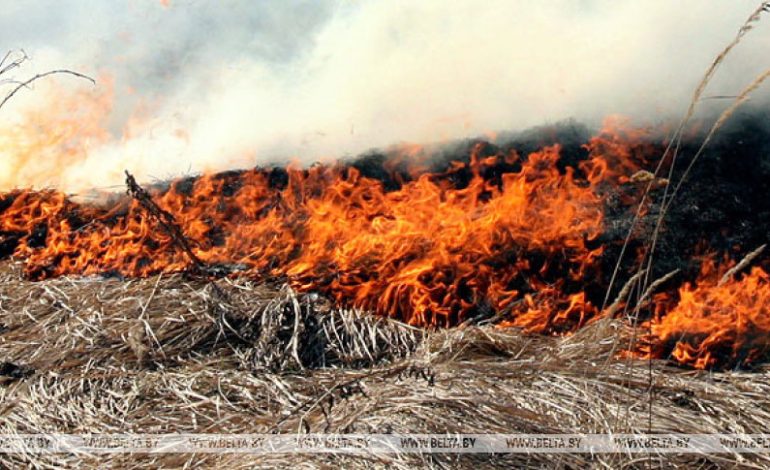 Как вам такое? Восемь часов тушили лесной пожар
