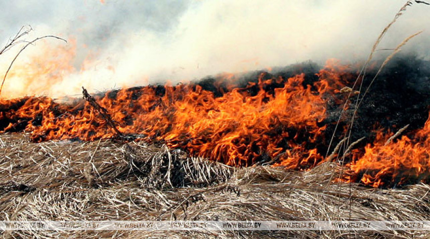 Как вам такое? Восемь часов тушили лесной пожар
