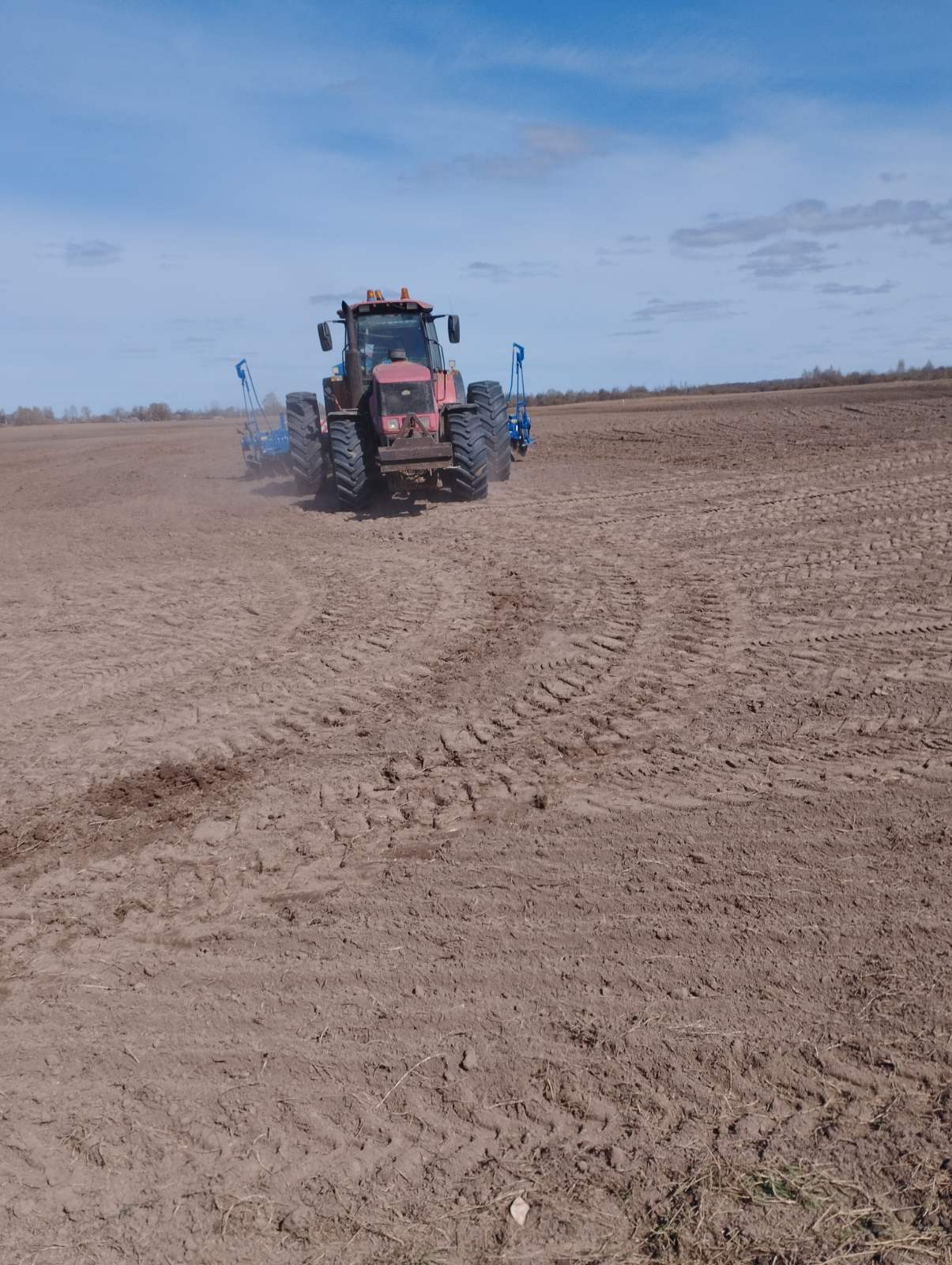 Пасяўная-2026. Гарох, ячмень, а потым кукуруза