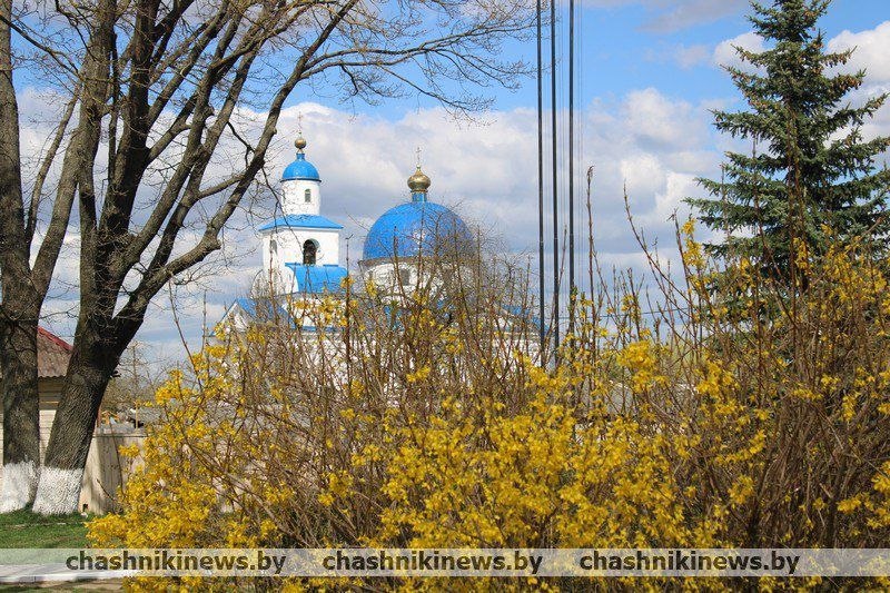 Дорогие друзья!