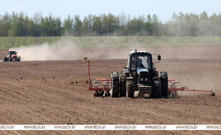 Травы на пашне