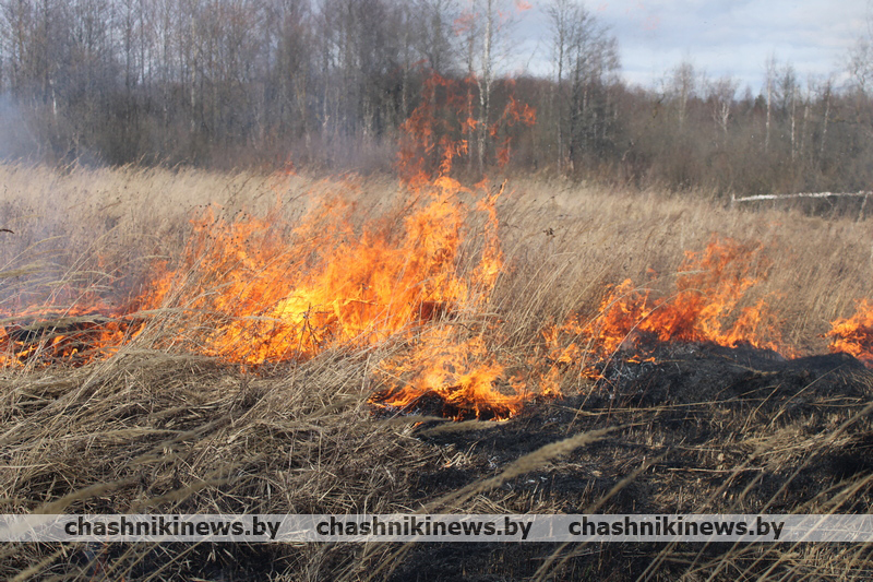 Пожароопасный период: соблюдайте правила безопасности