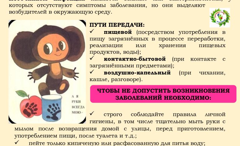Чашникский районный центр гигиены и эпидемиологии предоставляет информационно-образовательные материалы. Кишечная инфекция