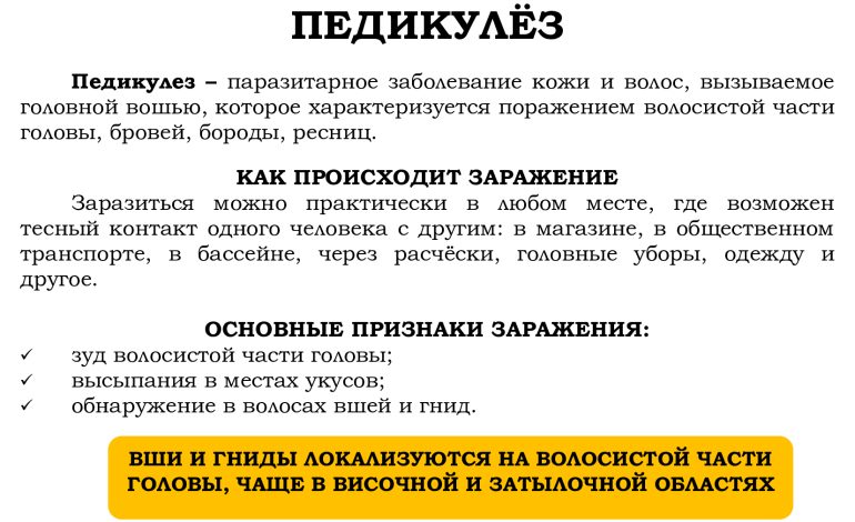Чашникский районный центр гигиены и эпидемиологии предоставляет информационно-образовательные материалы. Педикулёз