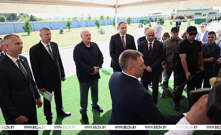 “Топчетесь на месте!” Лукашенко раскритиковал недостаточную динамику по снижению падежа КРС 