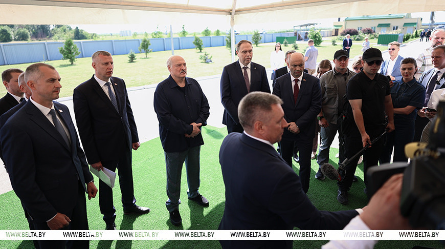 “Топчетесь на месте!” Лукашенко раскритиковал недостаточную динамику по снижению падежа КРС 