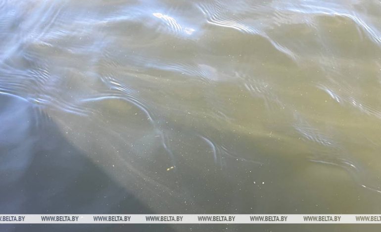 Женщина утонула в водоеме-копани в соседнем районе