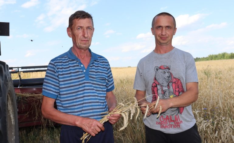 Золотые руки хлеборобов: как куется урожай в “Иванский-Агро”